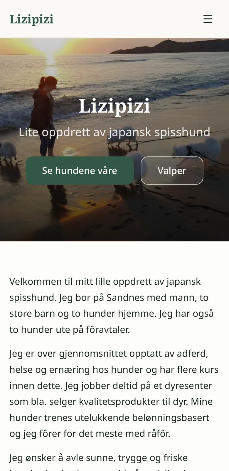 Forsiden til lizipizi.no på mobil